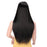 Synthetic Straight Hair Wig (Multi Color)