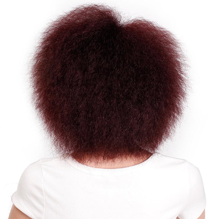 Synthetic Afro Hair Wigs